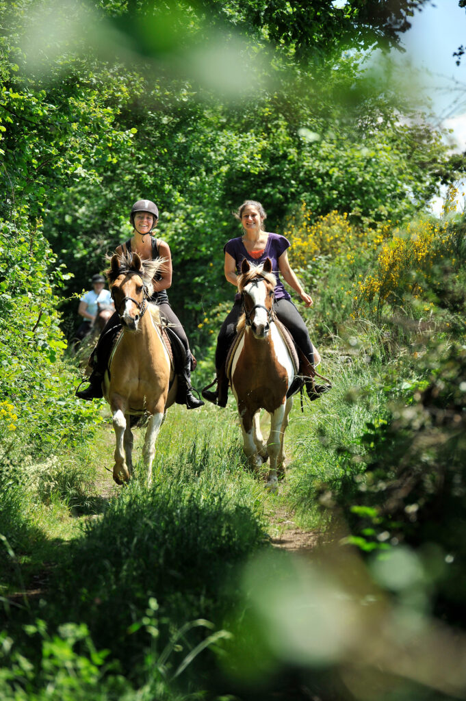 Randonnée à cheval en Sumène Artense
