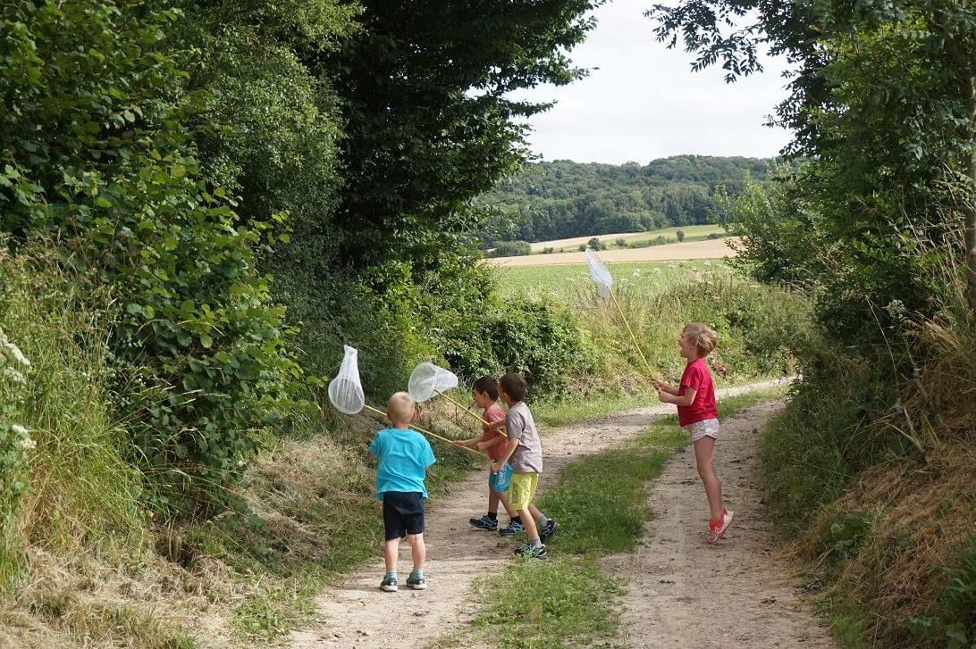 Jeux d'enfants en forêt
