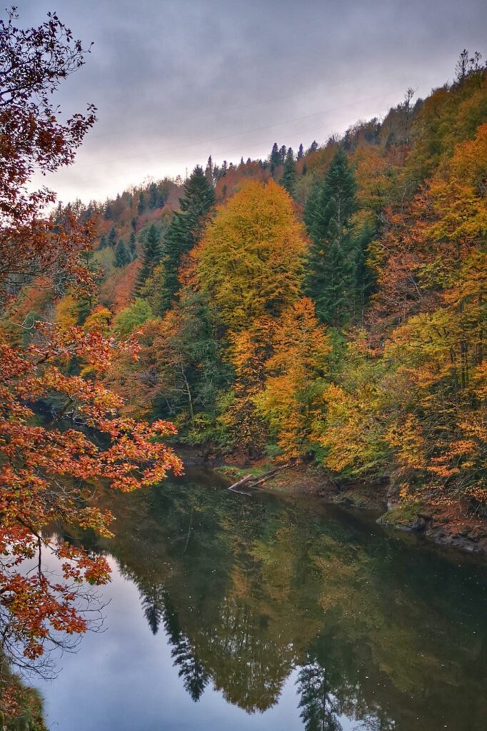 Gorges de la Rhue